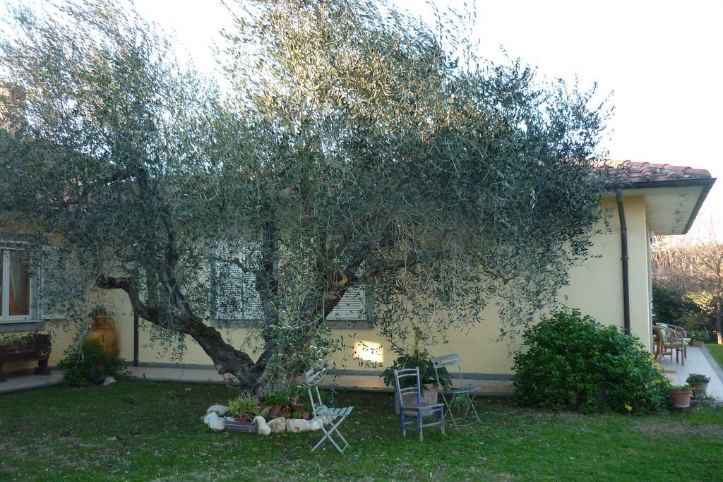 ויטרבו B&B Alle Terme מראה חיצוני תמונה